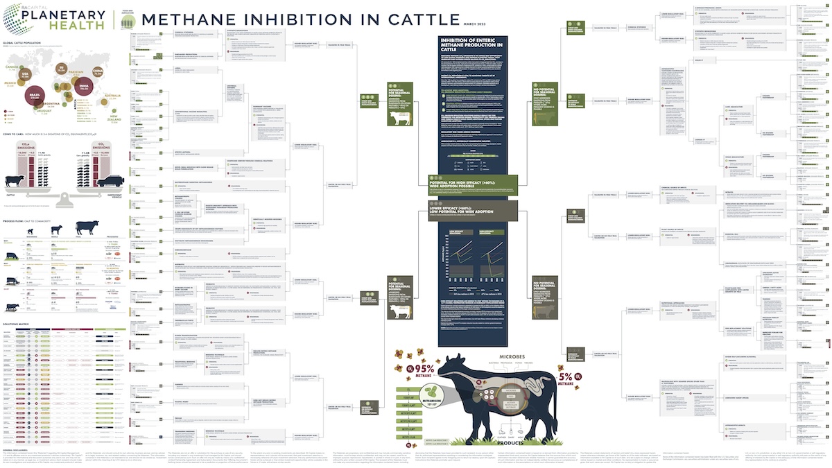 Methane Inhibition in Cattle